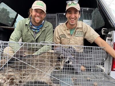 Milwaukee pest control